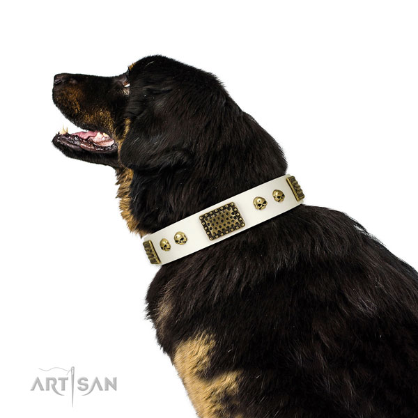 Rust-proof traditional buckle on full grain leather dog collar for daily walking