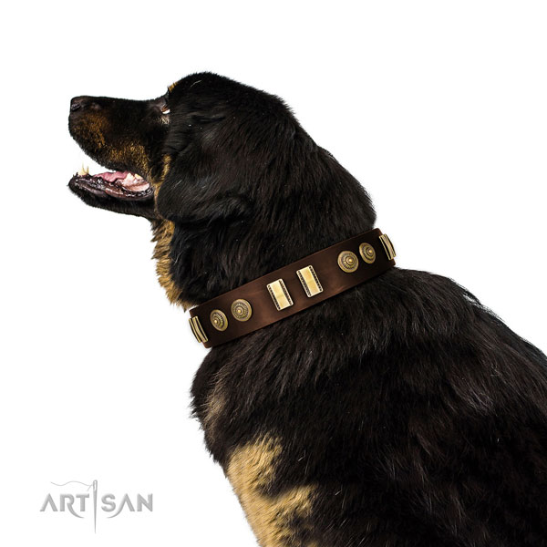 Reliable traditional buckle on full grain leather dog collar for easy wearing