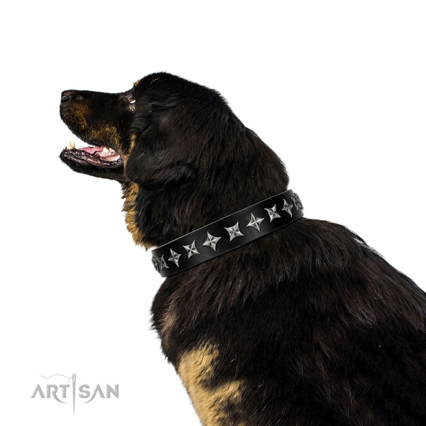 Everyday walking adorned dog collar of quality leather