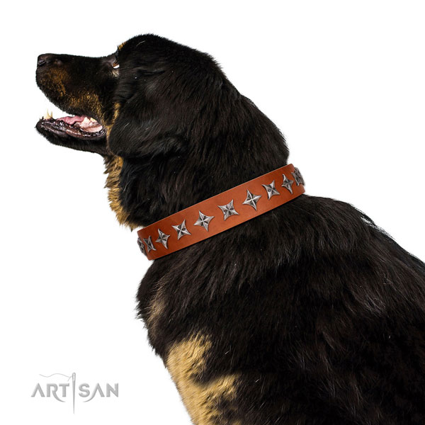 Comfortable wearing studded dog collar of high quality leather