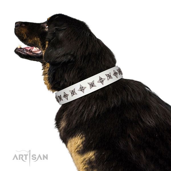 Reliable natural leather dog collar with designer embellishments