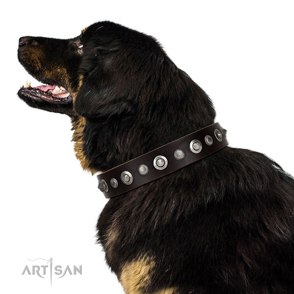 Strong full grain genuine leather dog collar with stylish embellishments