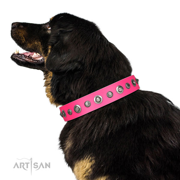 Leather collar with strong buckle for your stylish dog