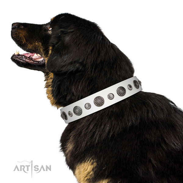 Adorned leather dog collar with corrosion proof traditional buckle