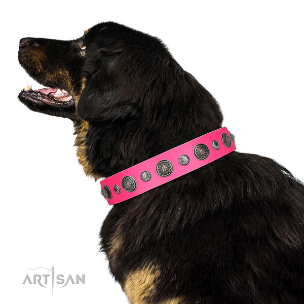 Easy to adjust leather dog collar with corrosion proof hardware