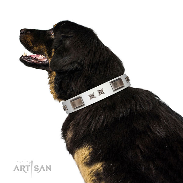Comfortable wearing soft to touch genuine leather dog collar with decorations