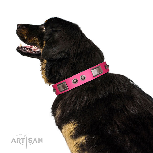 Easy wearing genuine leather dog collar with decorations