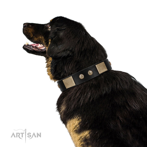 Decorated full grain natural leather collar for your attractive doggie