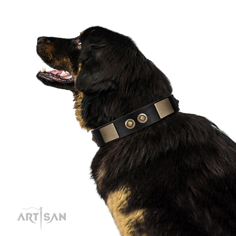 Terrain D.O.G Oiled Harness Leather Hybrid Dog Collar