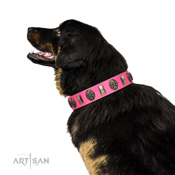 Corrosion resistant fittings on natural genuine leather dog collar for walking