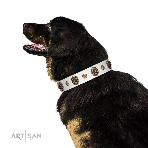 Full grain natural leather dog collar with designer decorations