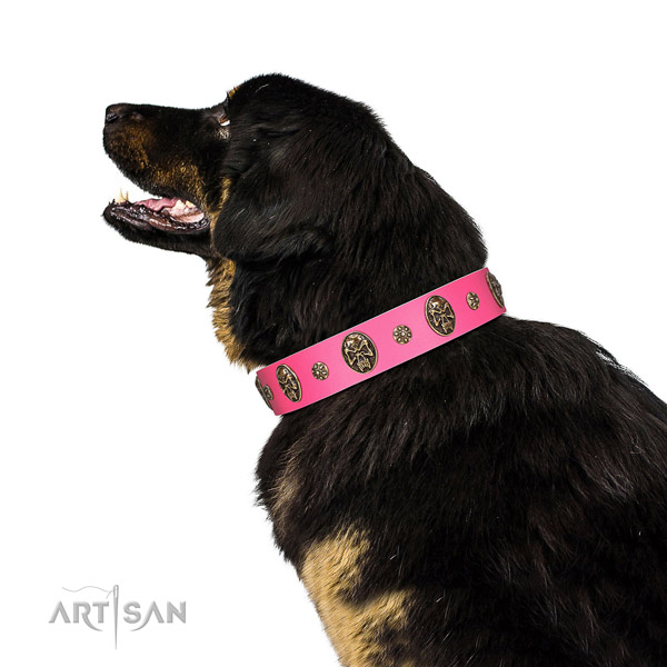 Exquisite dog collar handcrafted for your lovely canine