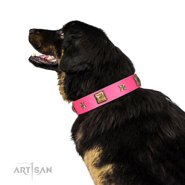 Full grain leather dog collar of reliable material with exquisite decorations