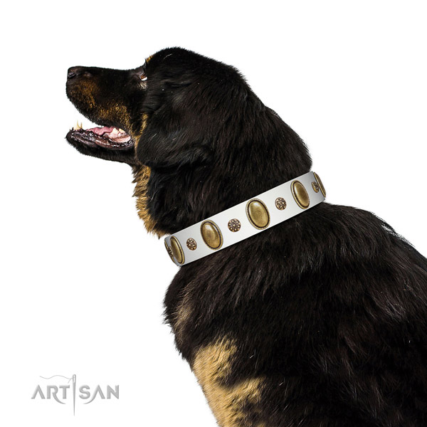 Walking best quality leather dog collar with decorations
