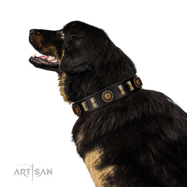 High quality natural leather dog collar with reliable hardware