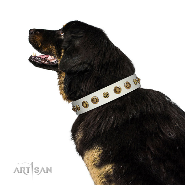 Soft to touch full grain genuine leather dog collar with studs for your pet