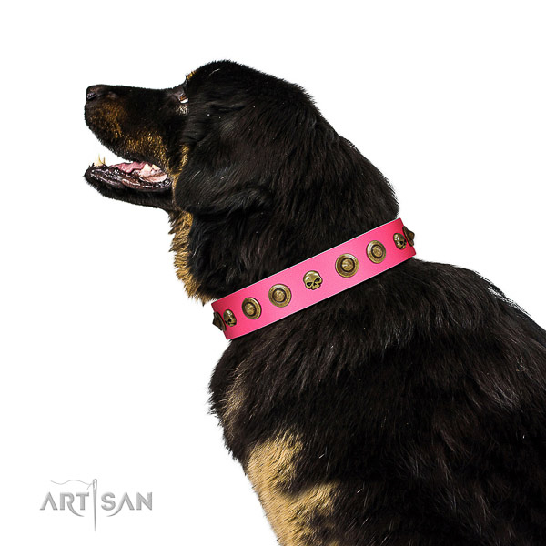 Designer adornments on full grain natural leather collar for your dog