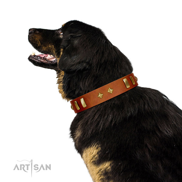 Daily use soft full grain natural leather dog collar with adornments
