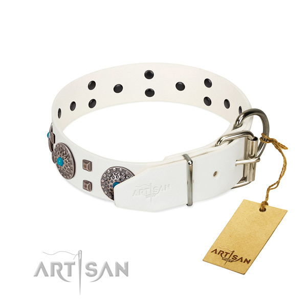 Soft genuine leather dog collar with embellishments for everyday walking