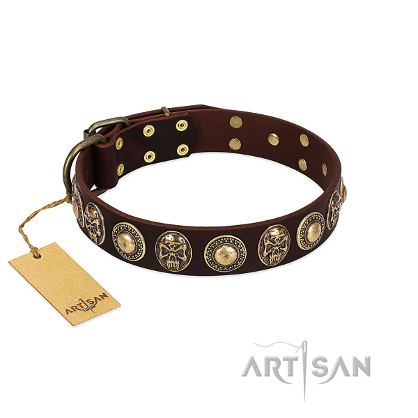 Remarkable full grain natural leather dog collar for daily walking