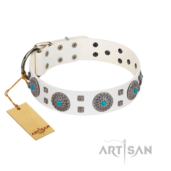 Fancy walking genuine leather dog collar with significant adornments