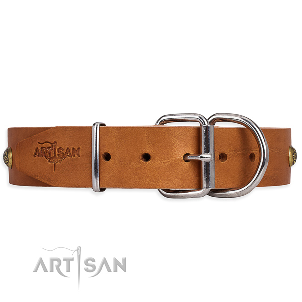 Full grain natural leather dog collar with designer reliable adornments