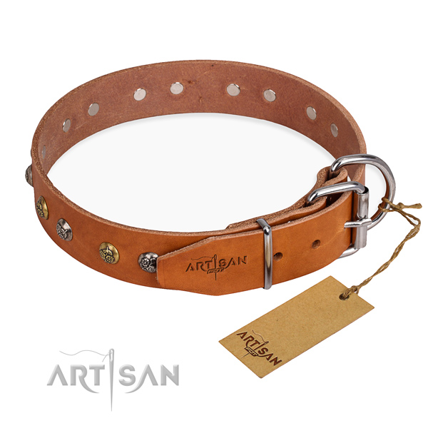 Full grain leather dog collar with unusual reliable adornments