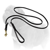 Long and Strong Mastiff Dog Leash for Shows