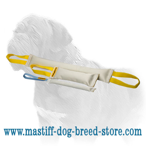 Mastiff puppy training tugs in one set
