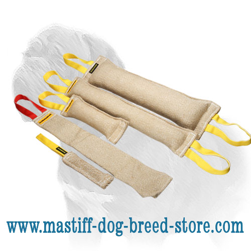 Set of bite tugs for Mastiff successful training