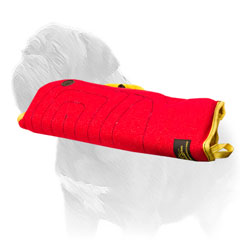 Comfy dog sleeve with soft interior