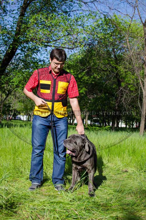 Nylon Mastiff Harness with Handle