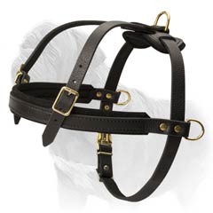 Proved quality and reliability harness