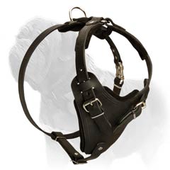 harness for pulling