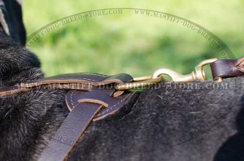 Strong Brass D-ring for Quick Leash Hook Up