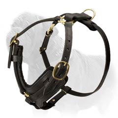 Stylish harness for agitation work