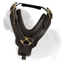 High quality agitation harness for Mastiff