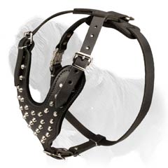 studded leather harness