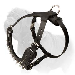 Long servicing Mastiff walking harness