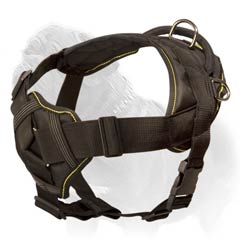 Maximum comfortable Mastiff harness