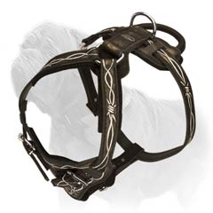Best Mastiff harness for training