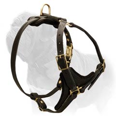 Light to wear leather harness