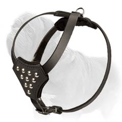 Dog harness for little Mastiffs adjustable in 2 ways