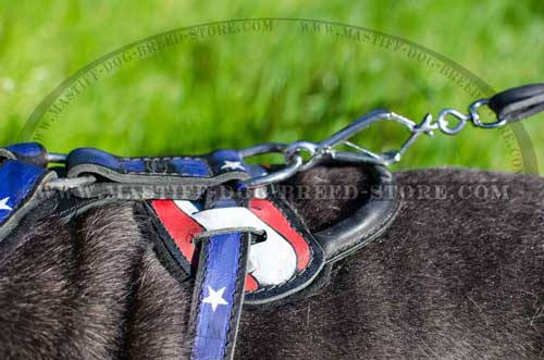 Leather Dog Harness with Padded Back Plate