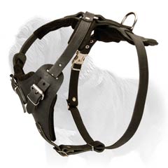 easy walk harness