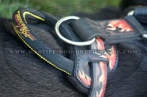 Mastiff Leather Harness Fast Grab Handle for Easier Control