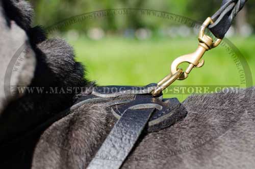 Soft Felt Padded Back Plate of Leather Harness