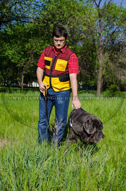 Best Fitting Harness for Mastiff Dogs