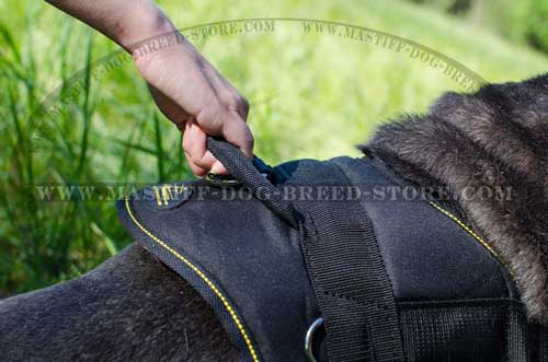 Nylon Dog Harness with Cushion-Like Back Plate