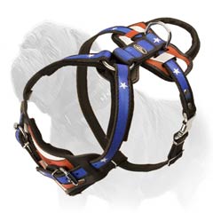 Non-toxic for your Mastiff harness